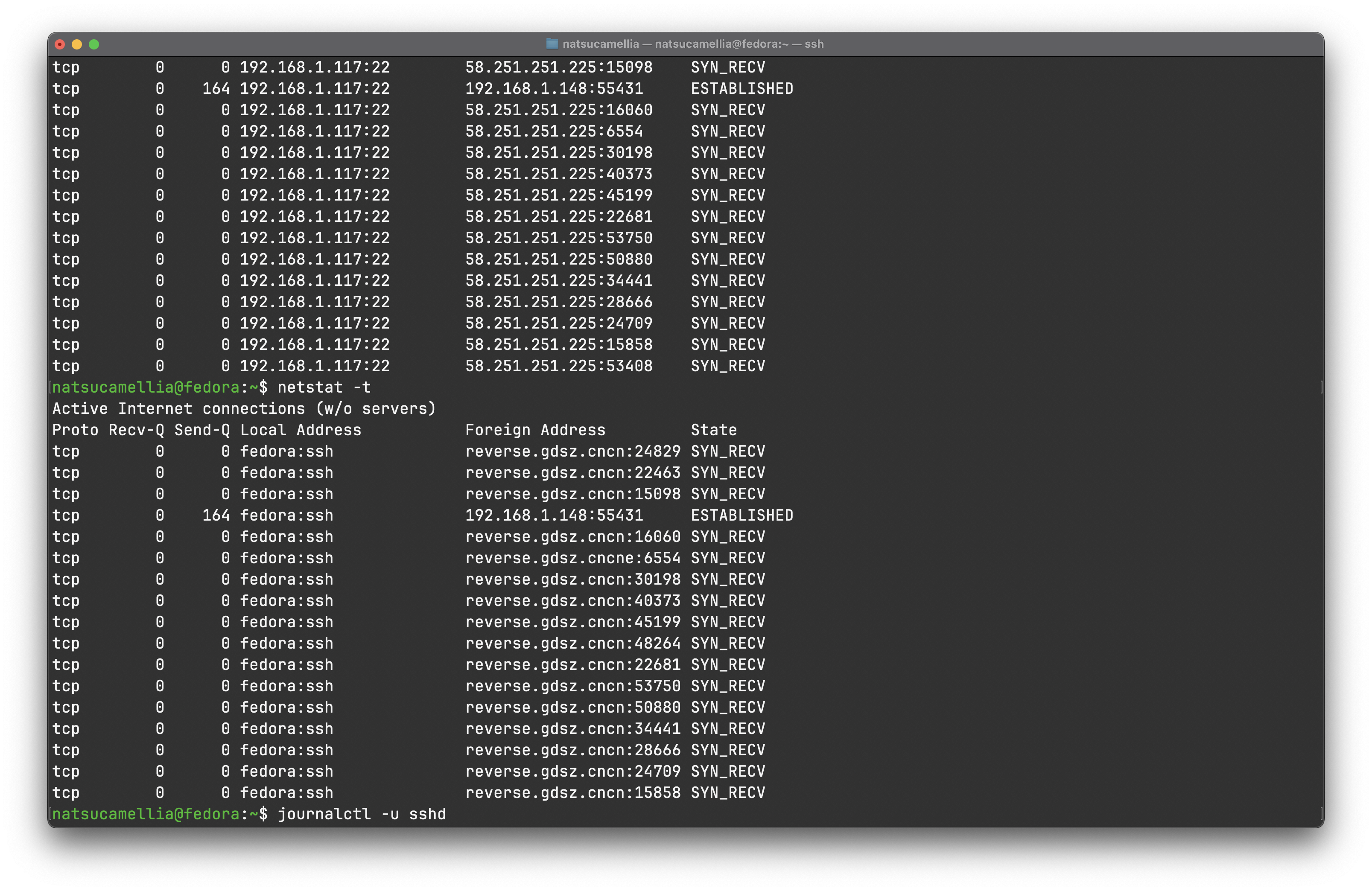 Netstat 截圖